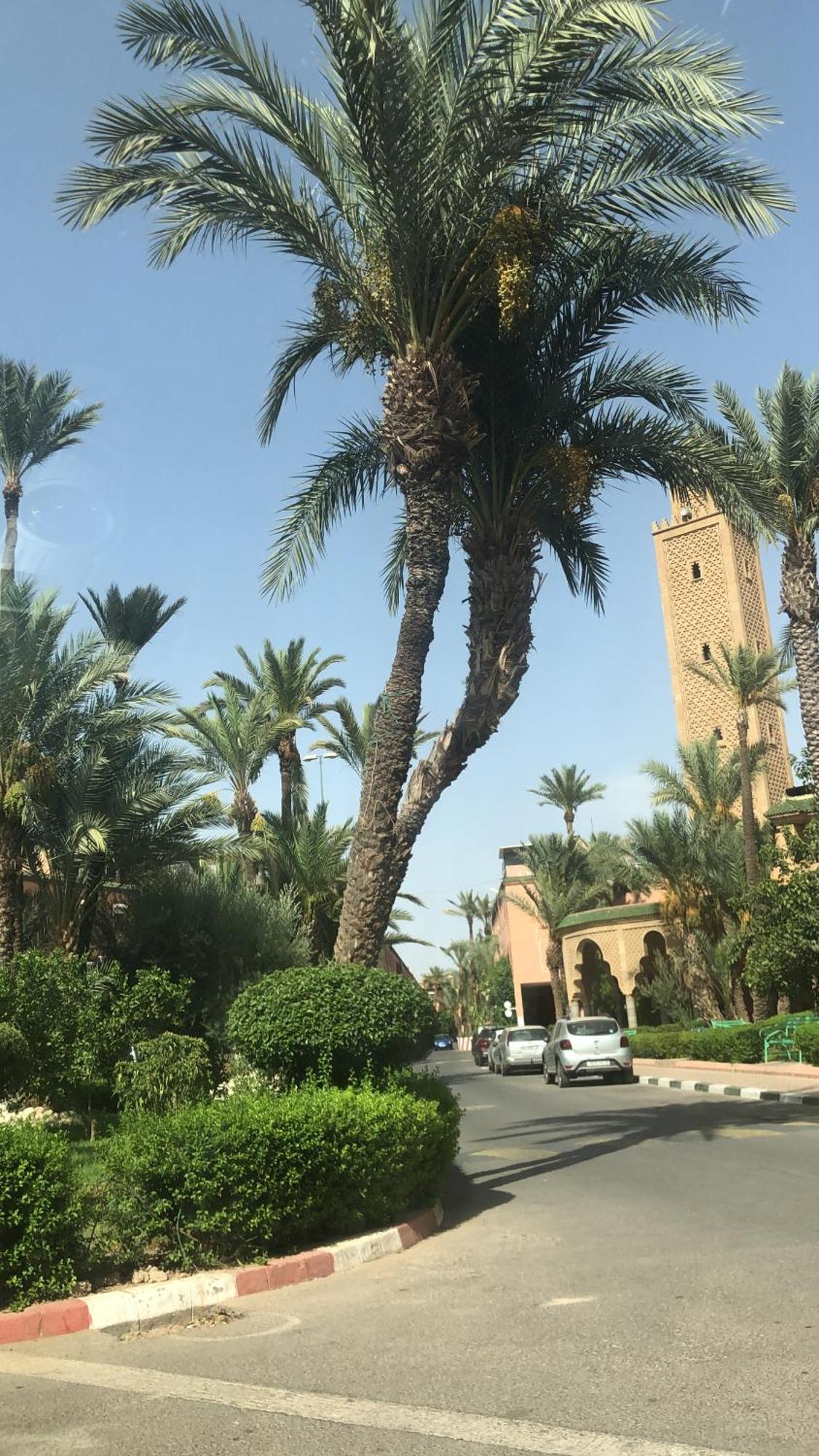 Riad Lyna Marrakesh Ngoại thất bức ảnh